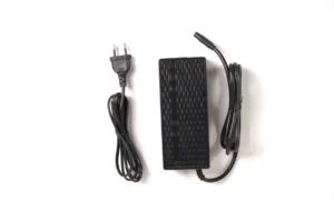 1 Ladegerät für 48V - 54,6V / 2A Modelle - SMILEY-STECKER