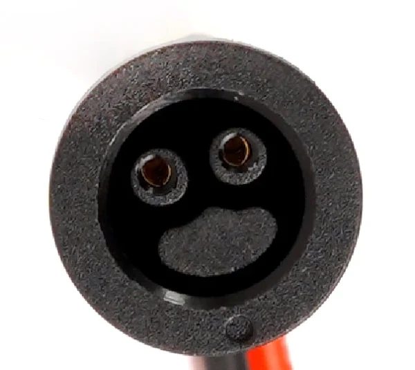 2 Ladegerät für 48V - 54,6V / 2A Modelle - SMILEY-STECKER