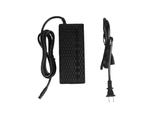 3 Ladegerät für 48V - 54,6V / 2A Modelle - SMILEY-STECKER