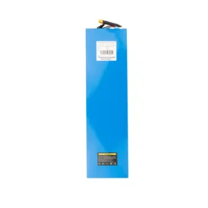 1 48V 21Ah Akku für VSETT 9+