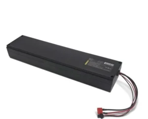 1 Inmotion S1F/S1G Batterie
