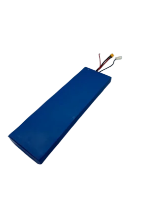 1 48V 15Ah Akku | Dualtron Togo Plus