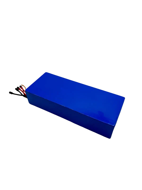 1 60V24Ah-Batterie | Dualtron Victor & Luxury & Spider 2 & Forever LTD