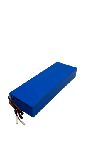 Dualtron Forever | 60V18Ah Batterie