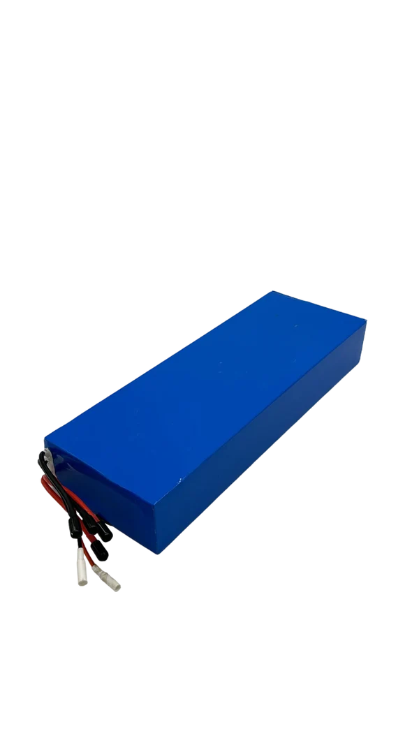 Dualtron Forever | 60V18Ah Batterie