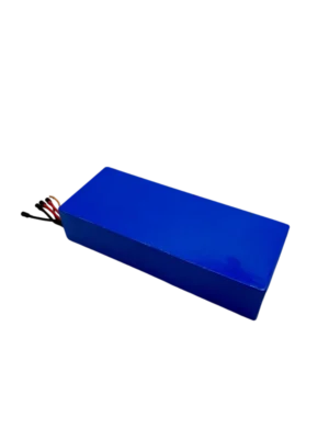 1 60V24Ah-Batterie | Dualtron Victor & Luxury & Spider 2 & Forever LTD