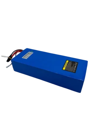 1 60V24Ah-Batterie | Dualtron Spider 2
