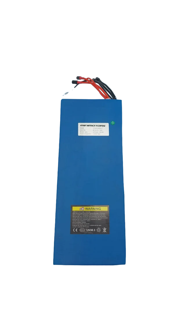 Dualtron Victor & Victor Luxury | 60V 30Ah Batterie