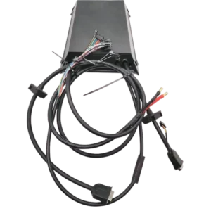 1 Dualtron Storm / Storm UP Elektroroller-Steuerung